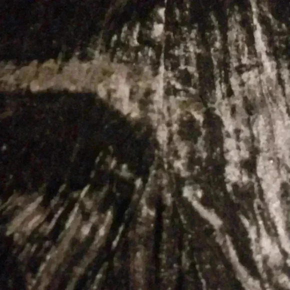 Mlle Gabrielle Black Crushed Velvet Embroidered/ Sequined Waist Side Zip Skirt - Picture 6 of 8